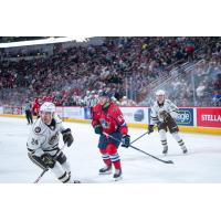 Springfield Thunderbirds center Matthew Peca vs. the Hershey Bears