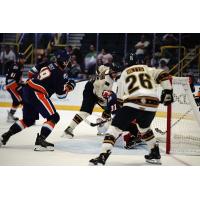 Orlando Solar Bears' Tyson Feist and Florida Everblades' Kyle Betts in action