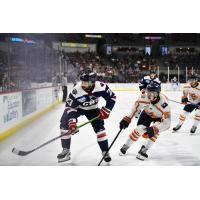 South Carolina Stingrays' Jeremy Davidson and Swamp Rabbits' Miles Gendron in action