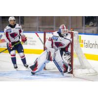 South Carolina Stingrays goaltender Garin Bjorklund