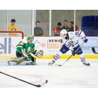 Brampton Steelheads right wing Porter Martone looks to shoot against the London Knights