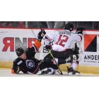 Adirondack Thunder forward Andre Ghantous vs. the Reading Royals