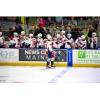 South Carolina Stingrays exchange high fives along the bench