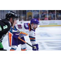 Orlando Solar Bears forward Aaron Luchuk