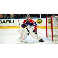 Goaltender Jack Campbell with the Bakersfield Condors