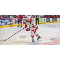 Grand Rapids Griffins defenseman William Lagesson