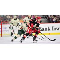 Grand Rapids Griffins left wing Cross Hanas vs. the Iowa Wild