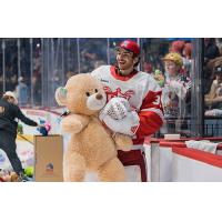 Grand Rapids Griffins collect teddy bears