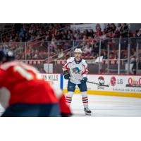 Springfield Thunderbirds defenseman Marc-Andre Gaudet