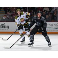 North Bay Battalion's Ethan Procyszyn and Peterborough Petes' Gavin Bryant on game night