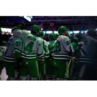 Florida Everblades celebrate win