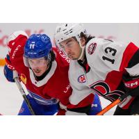 Laval Rocket's Rafaël Harvey-Pinard versus Belleville Senators' Xavier Bourgault