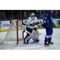 Worcester Railers goaltender John Muse