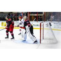 Allen Americans goaltender Anson Thornton