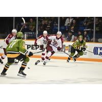 Peterborough Petes battle the North Bay Battalion