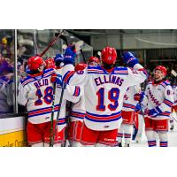 Kitchener Rangers celebrate