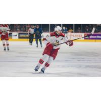 Grand Rapids Griffins defenseman William Lagesson