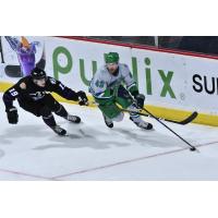 Orlando Solar Bears' Tyson Feist and Florida Everblades' Colin Theisen in action