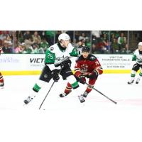 Texas Stars' Kyle McDonald and Tucson Roadrunners' Artyom Duda in action