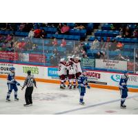 Peterborough Petes celebrate a goal against the Sudbury Wolves