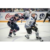 Wenatchee Wild forward Luka Shcherbyna (right, 27)