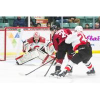 Vancouver Giants centre Adam Titlbach looks for a shot vs. the Prince George Cougars