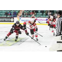 Vancouver Giants right wing Connor Levis (left) vs. the Prince George Cougars