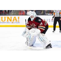 Tucson Roadrunners goaltender Connor Ingram