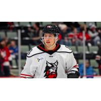 Adirondack Thunder forward Andre Ghantous