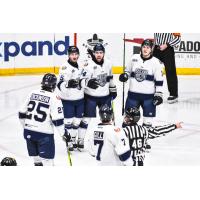 Worcester Railers discuss a penalty with the officials