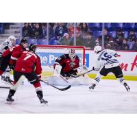 Vancouver Giants goaltender Burke Hood