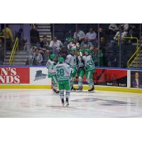 Florida Everblades celebrate a goal