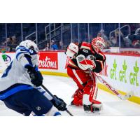 Grand Rapids Griffins goaltender Ville Husso retrieves a puck