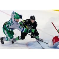 Florida Everblades forward Carson Gicewicz (left) vs. the Savannah Ghost Pirates