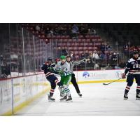 Florida Everblades defenseman Sean Allen (4) vs. the South Carolina Stingrays