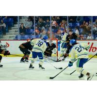 Vancouver Giants goaltender Burke Hood against the Swift Current Broncos