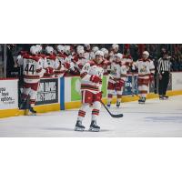 Grand Rapids Griffins right wing Dominik Shine