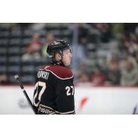 Tucson Roadrunners right wing Austin Poganski