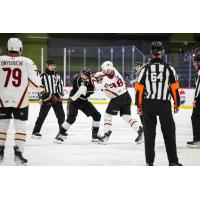 Tucson Roadrunners' Hunter Drew versus Ontario Reign's Luke Rowe