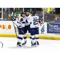 Worcester Railers celebrate a goal against the Maine Mariners