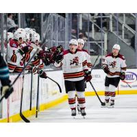 Tucson Roadrunners exchange high fives along the bench