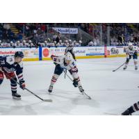 Springfield Thunderbirds forward Zack Bolduc