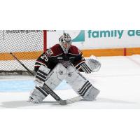 Peterborough Petes goaltender Dylan Lee-Stack