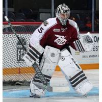 Peterborough Petes goaltender Dylan Lee-Stack