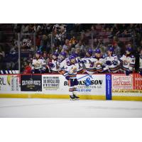 Orlando Solar Bears exchange congratulations along the bench