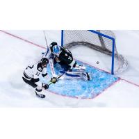 Wichita Thunder forward Michal Stinil scores against the Utah Grizzlies