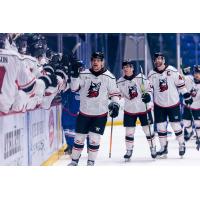 Adirondack Thunder along the bench