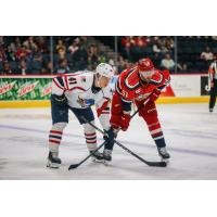 Grand Rapids Griffins forward Austin Watson (right) vs. the Springfield Thunderbirds