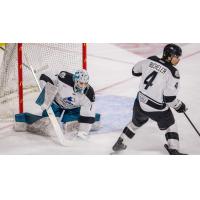 Wichita Thunder goaltender Gabriel Carriere and defenseman Jeremie Bucheler