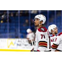 Tucson Roadrunners defenseman Montana Onyebuchi